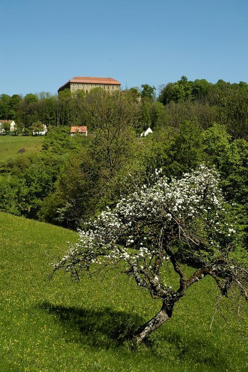 Gasthof Adler Schillingsfürst Екстериор снимка